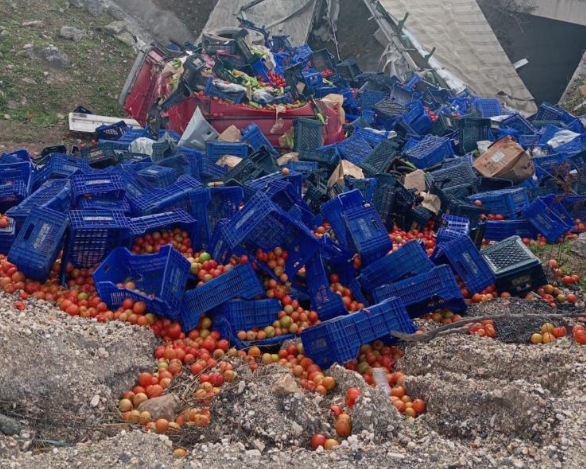 d-650-de-sebze-yuklu-tir-kaza-yaptizvm4tvrhqz