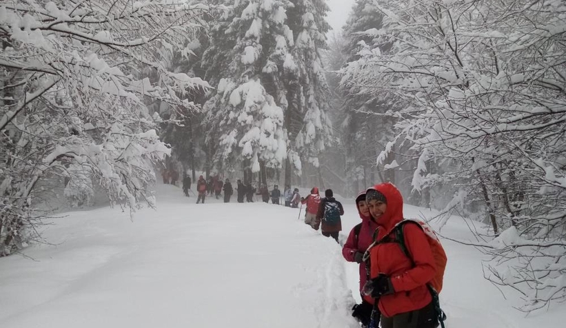Dağcıların 12 kilometrelik kar yürüyüşü