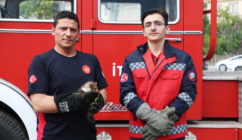 davetsiz-misafir-artik-ait-oldugu-yerdeevbwmfdts2