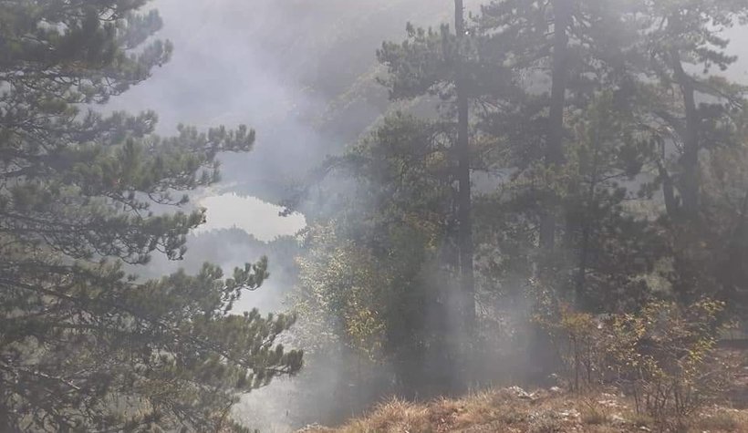 Davlumbaz Yaylası'nda orman yangını 