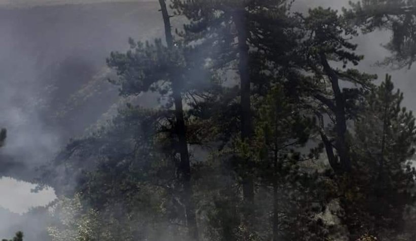 Davlumbaz Yaylası'nda orman yangını 