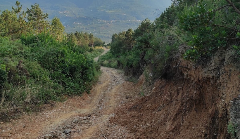 dedeler-de-vatandasin-yol-tepkisi-dev-yariklar-olustul0tbk29pnt