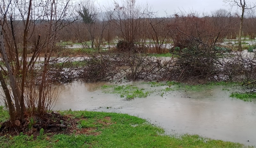 defalarca-sikayet-yapilan-kanal-yasli-adami-canindan-ettis09xdxbzvt