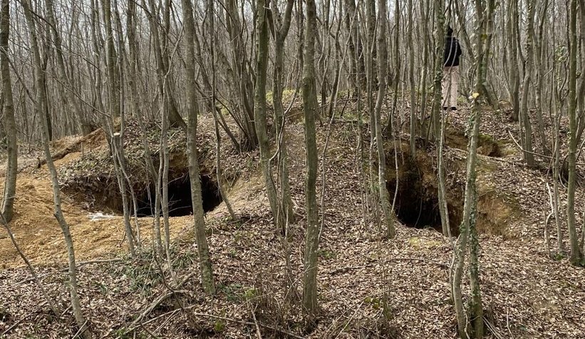 defineciler-koyu-adeta-talan-ediyorn2pebm8rte