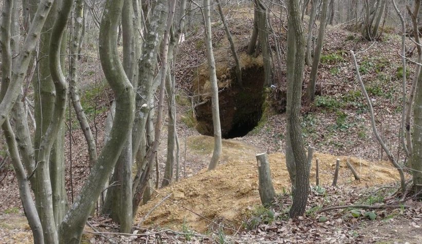 defineciler-koyu-adeta-talan-ediyorn2pebm8rte