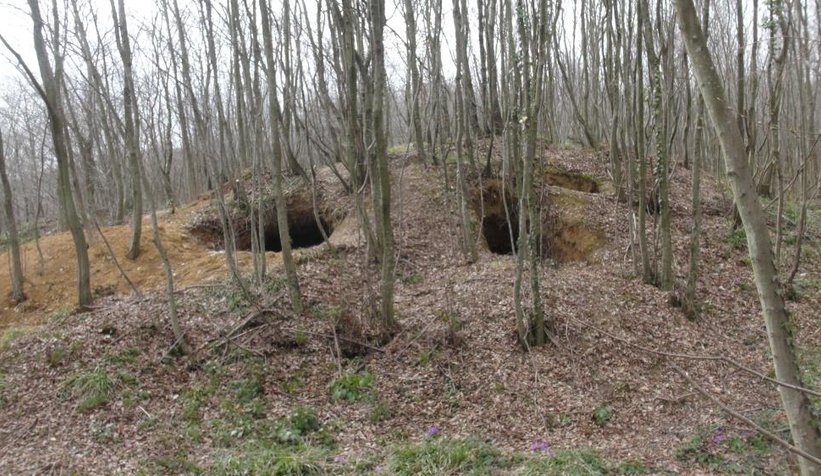 defineciler-koyu-adeta-talan-ediyorn2pebm8rte