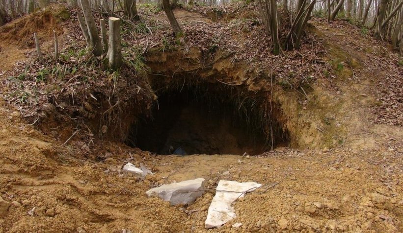 defineciler-koyu-adeta-talan-ediyorn2pebm8rte