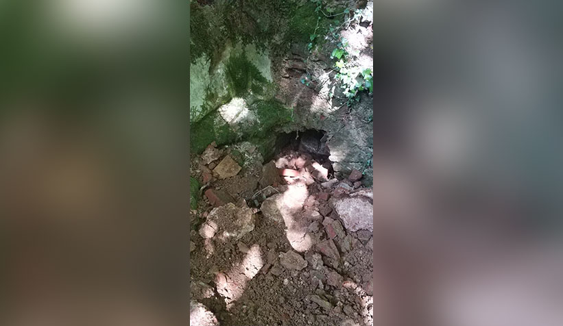 Defineciler suçüstü yakalandı