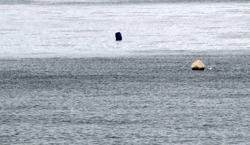 Deprem sonrası denizde hareketlilik ve köpükleşme