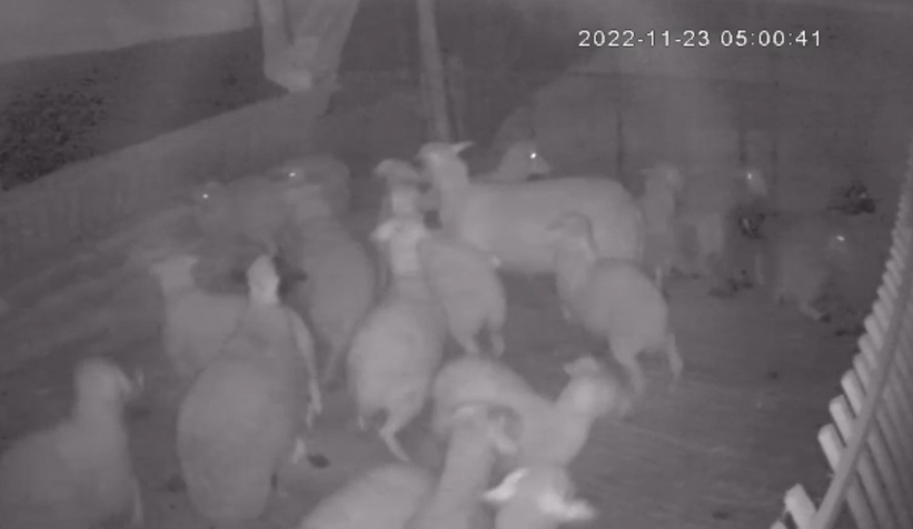 Depremi saniyeler öncesinde böyle hissettiler