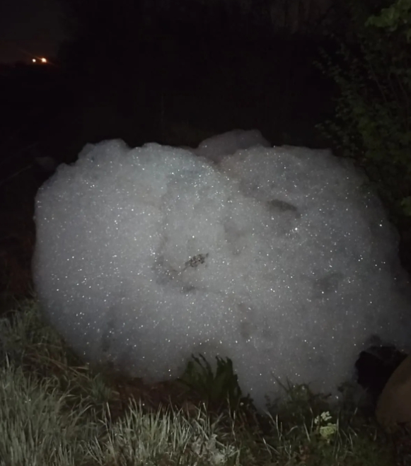 Dere köpürdü, İşte nedeni