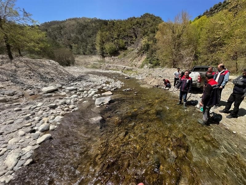 Derelere 50 bin kırmızı benekli alabalık yavrusu bırakıldı