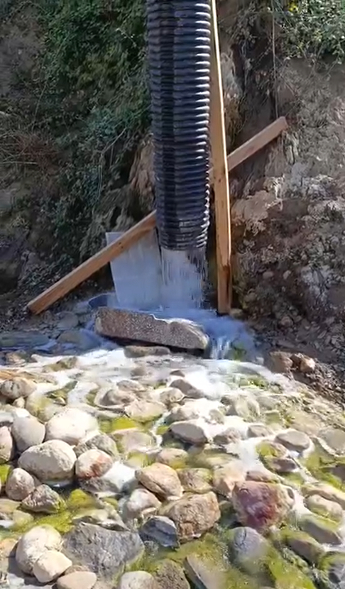 Dereye atık boşaltıldı, hayvanlar öldü iddiası