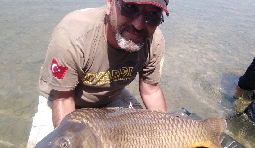 Dev balıkları yakalayıp suya geri bıraktılar