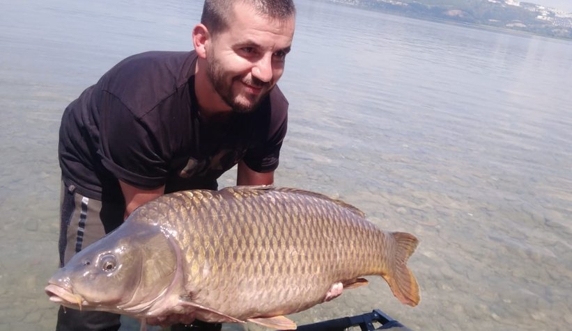 Dev balıkları yakalayıp suya geri bıraktılar