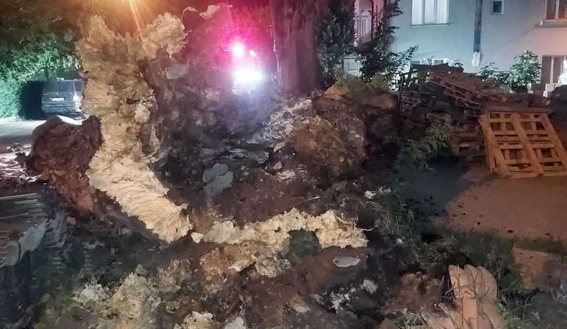 Dev çınar aracın üzerine devrildi