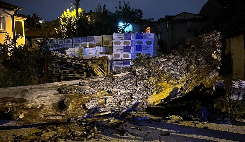 Dev çınar aracın üzerine devrildi