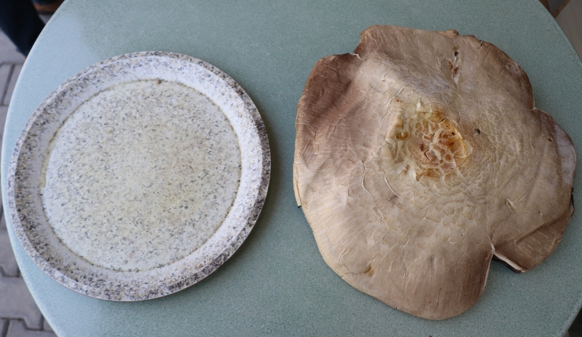 Dev kızıl mantar görenleri şaşırttı