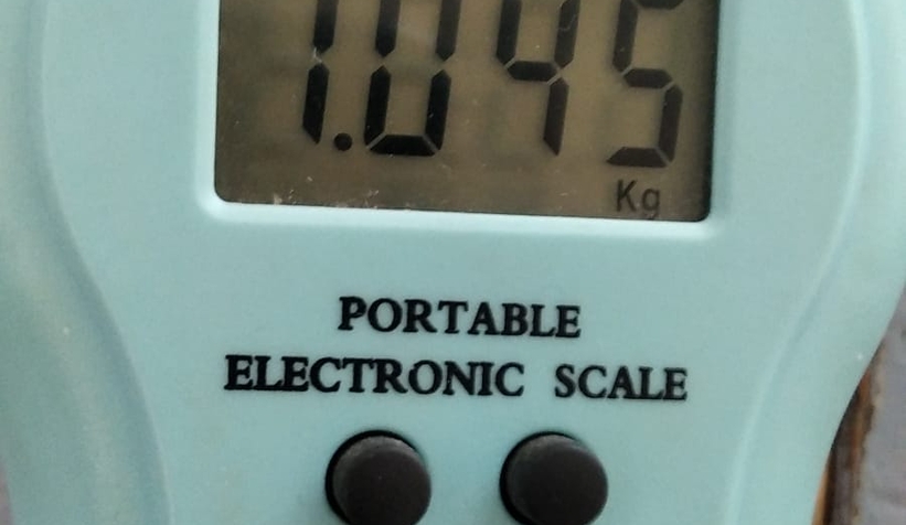 Dev mantar buldu; Gördüğüne inanamadı!