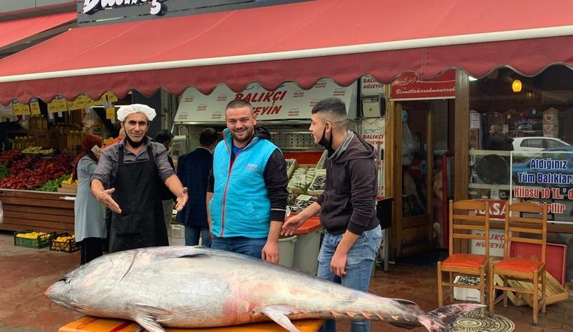 Dev orkinos Balıkçı Hüseyin farkı ile satışta