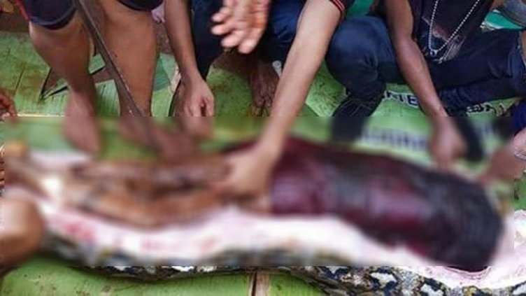 Dev piton kadını öldürüp yedi