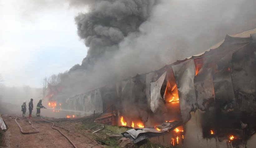 Dev tavuk çiftliği alev alev yandı