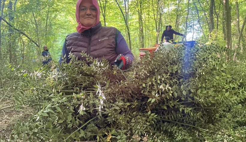 dikenine-katlanarak-evlerine-ekmek-parasi-goturuyorlarelbqs2pfrt