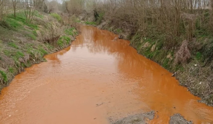 Dilsiz deresi kirlilikten renk değiştirdi