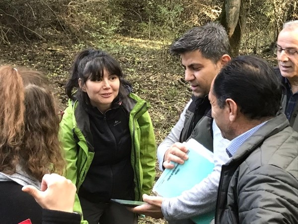 Dişbudak zümrüt kurdu alarmı