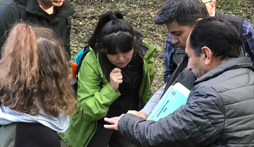 Dişbudak zümrüt kurdu alarmı