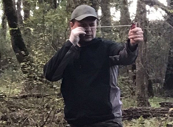 Dişbudak zümrüt kurdu alarmı