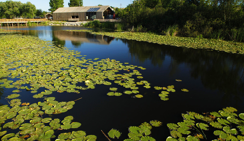 Doğa harikası Acalar Longozu için yeni koruma kararı