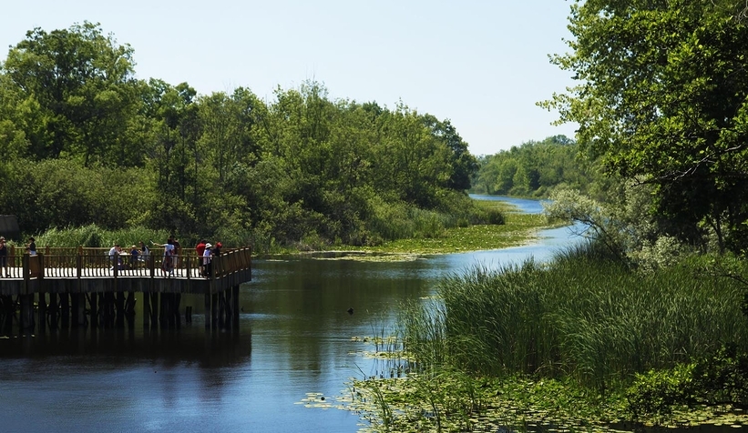 Doğa harikası Acalar Longozu için yeni koruma kararı