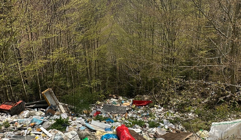 doga-katliami-acelle-yaylasi-copluge-dondumhfdvmk2k1