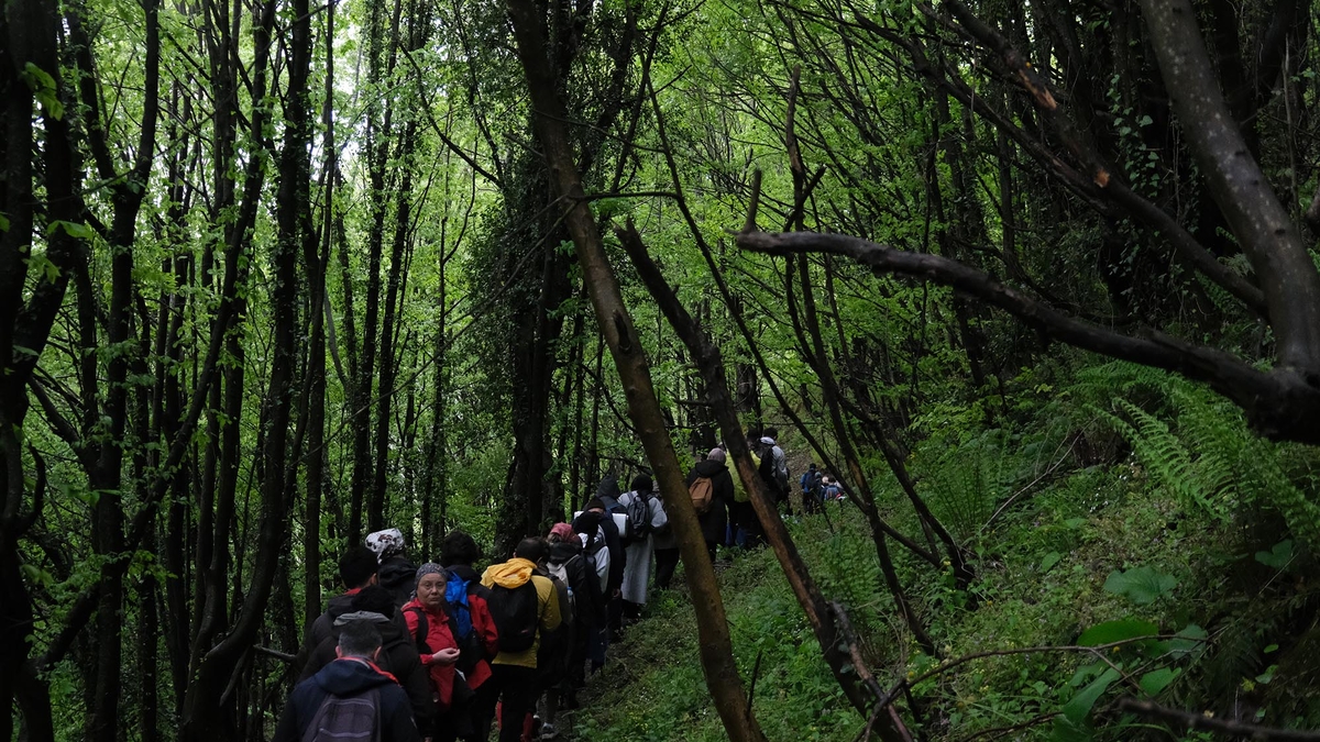 Doğa yürüyüşleri Doğançay parkuru ile devam etti