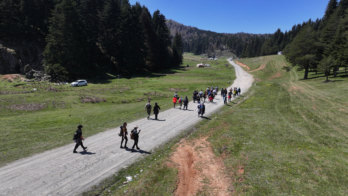 Doğa yürüyüşleri İnönü ve Ercova yaylaları ile sürdü