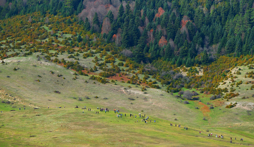 doga-yuruyusleri-karagol-ve-sultanpinari-yaylasi-devam-ettibhlpr0rimn