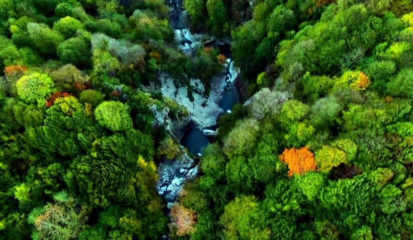 Doğançay Şelalesi sonbaharda görenleri hayran bırakıyor