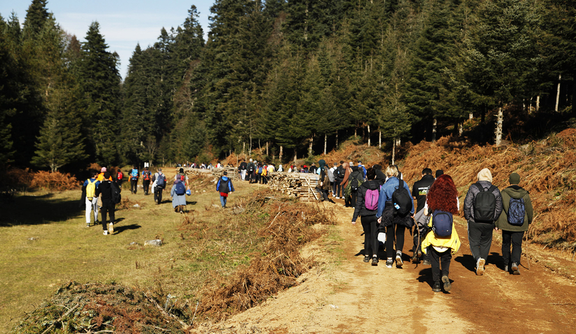 Doğanın sesini Dikmen’de dinlediler