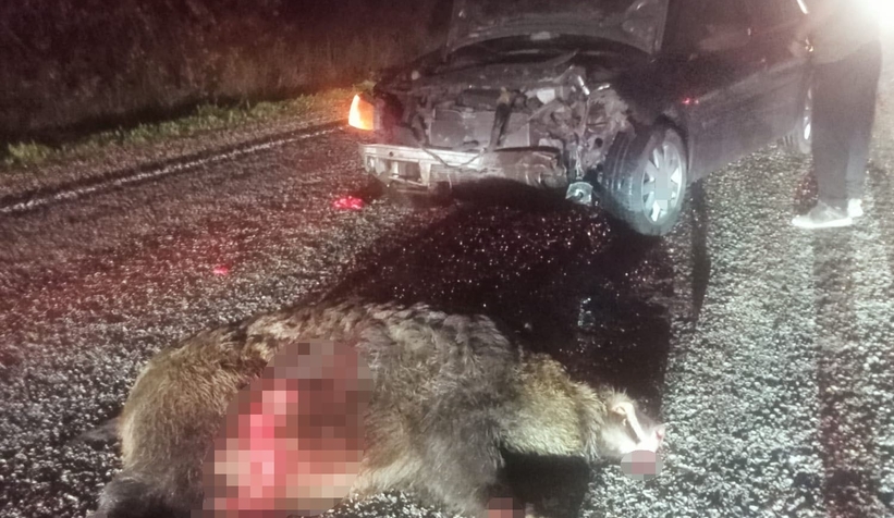 domuza-carpan-otomobil-hurdaya-dondu-1-yaralinhnzy1jssg