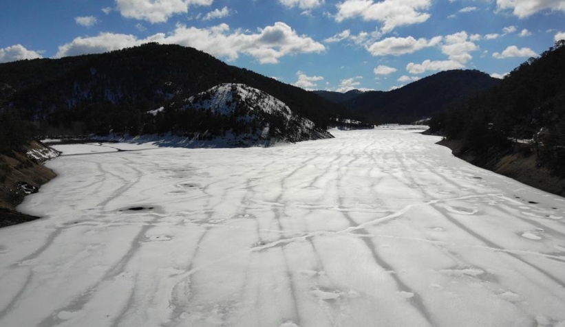 Donan gölde balıklar öldü