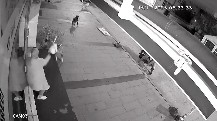 Dükkanını açarken sokak köpeklerinin saldırısına uğradı