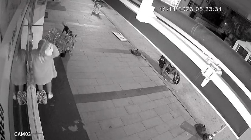 Dükkanını açarken sokak köpeklerinin saldırısına uğradı