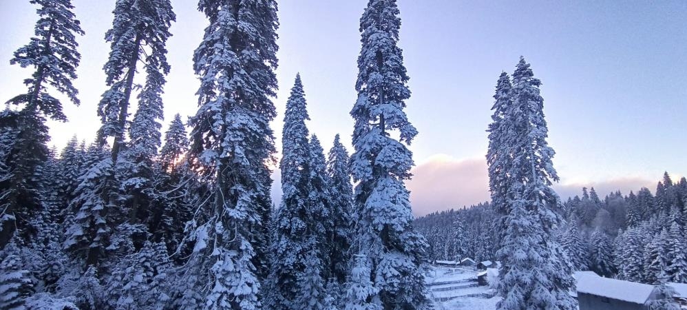 Düzce'de yüksek kesimler beyaza büründü