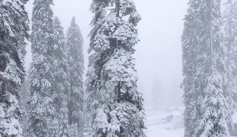 Düzce'de yüksek kesimler beyaza büründü