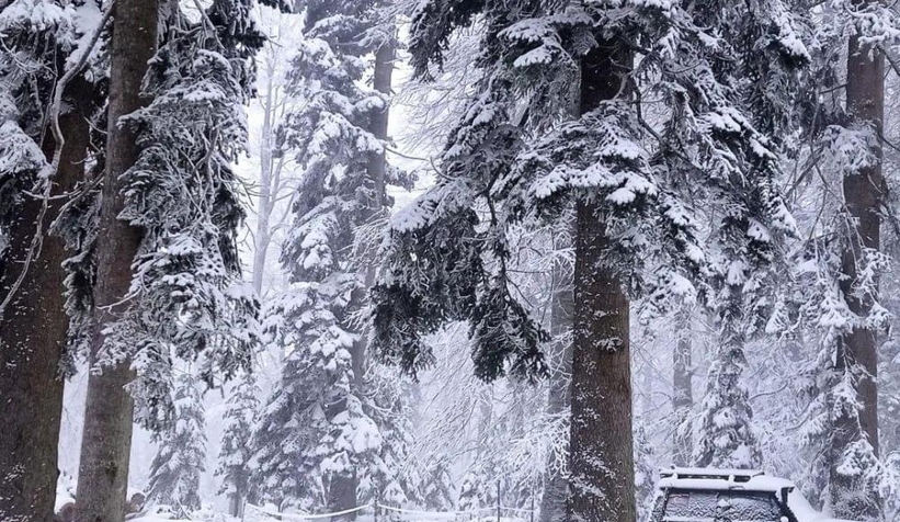 Düzce'de yüksek kesimler beyaza büründü