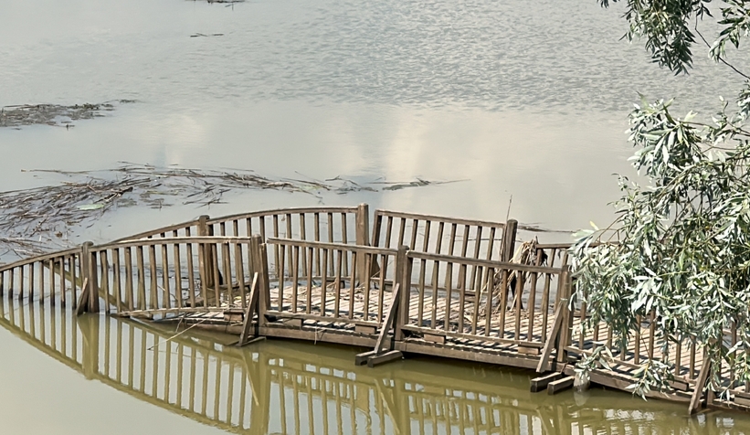 Efteni Gölü'nde hasarın boyutu ortaya çıktı