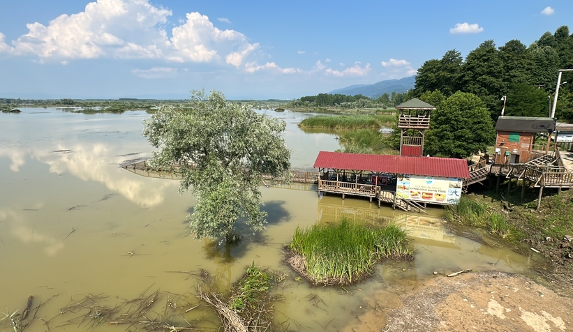 Efteni Gölü'nde hasarın boyutu ortaya çıktı