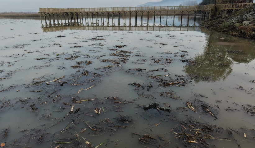 efteni-golunde-korkutan-fokurturc9owglwwe
