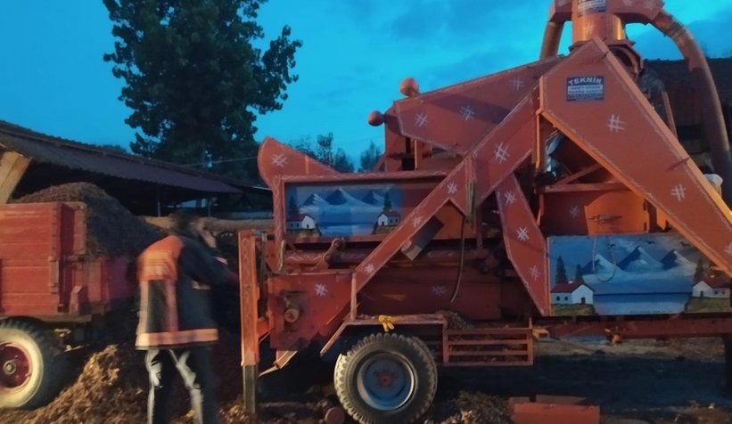 Elini patoza kaptırdı